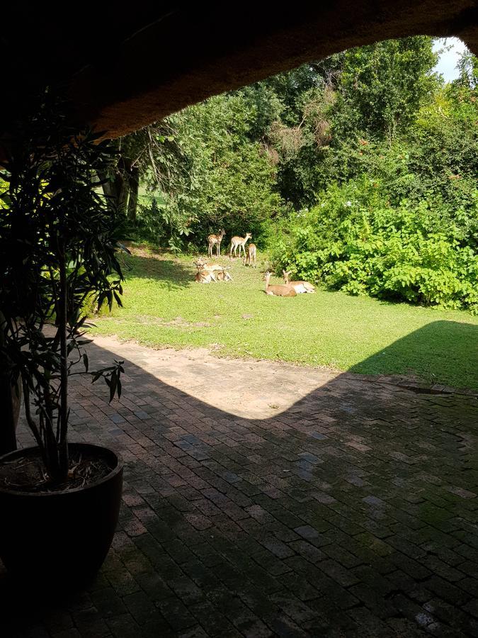 Kruger Park Lodge Unit No. 277 Hazyview Esterno foto