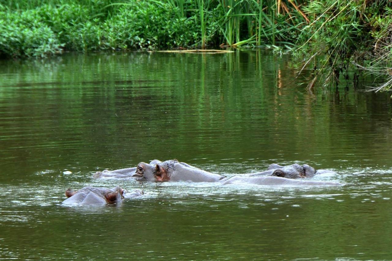 Kruger Park Lodge Unit No. 277 Hazyview Esterno foto